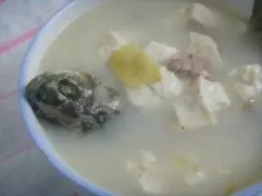 豆腐鯽魚湯