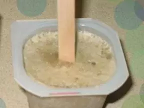 自製綠豆冰棍