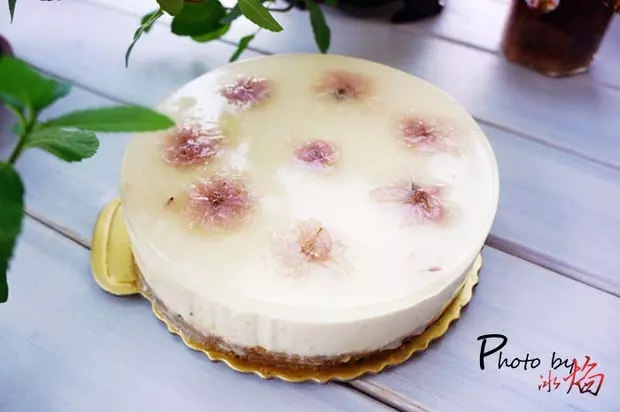 要的就是小清新：櫻花凍芝士蛋糕