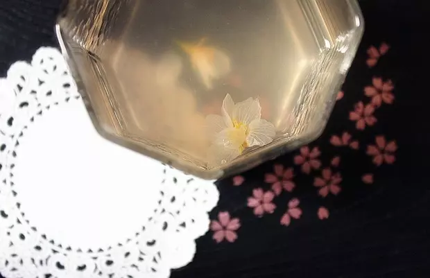 櫻花果凍