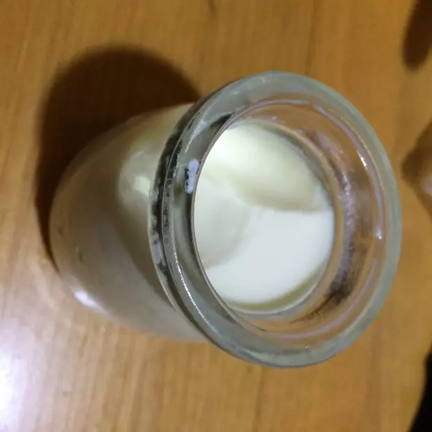 自製嬰兒酸奶