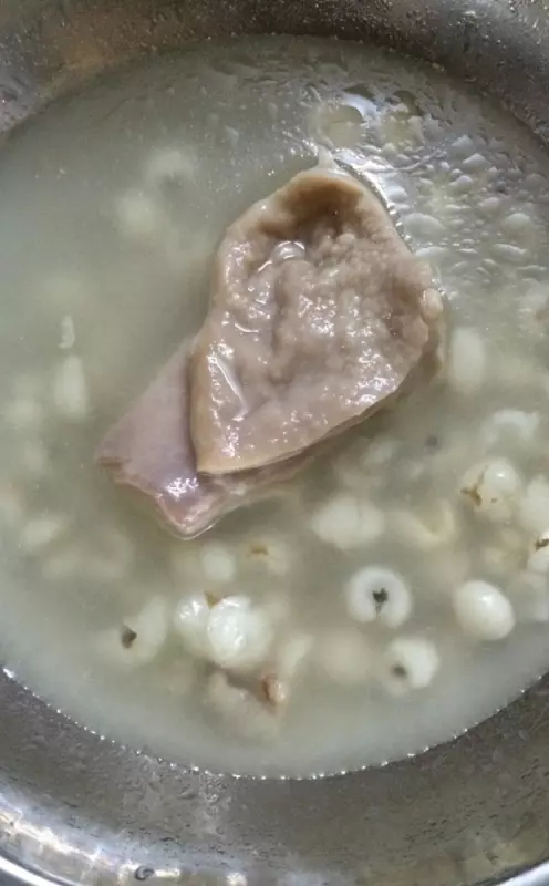 高壓鍋 豬肚薏米湯