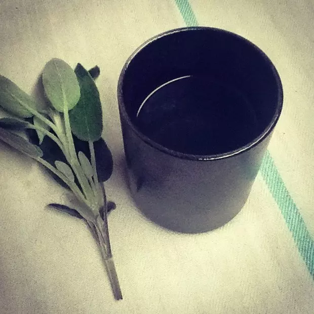 鼠尾草茶 Sage Tea