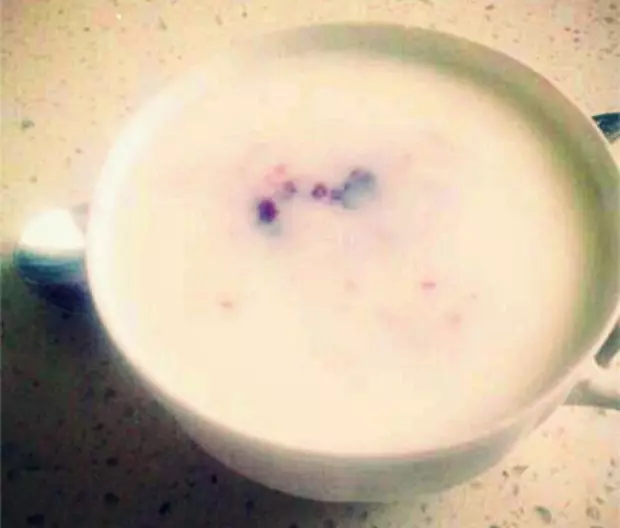 自製楊梅酸奶