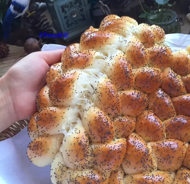 罌粟籽辮子麵包