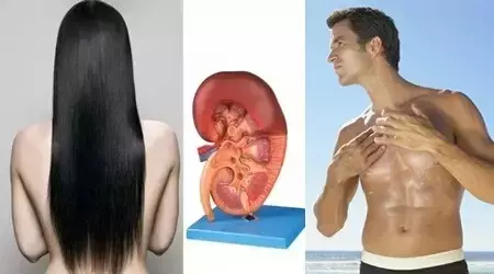 從頭髮一眼看出你腎臟的好壞，98%的人都說准！！