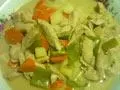 香濃綠咖喱雞肉燉蔬菜的做法