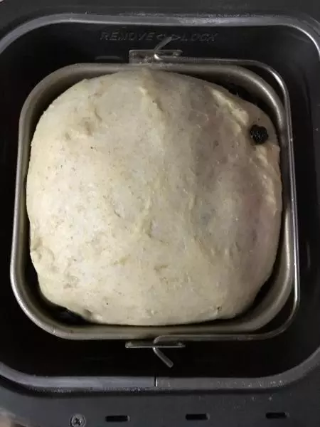 東菱麵包機做麵包
