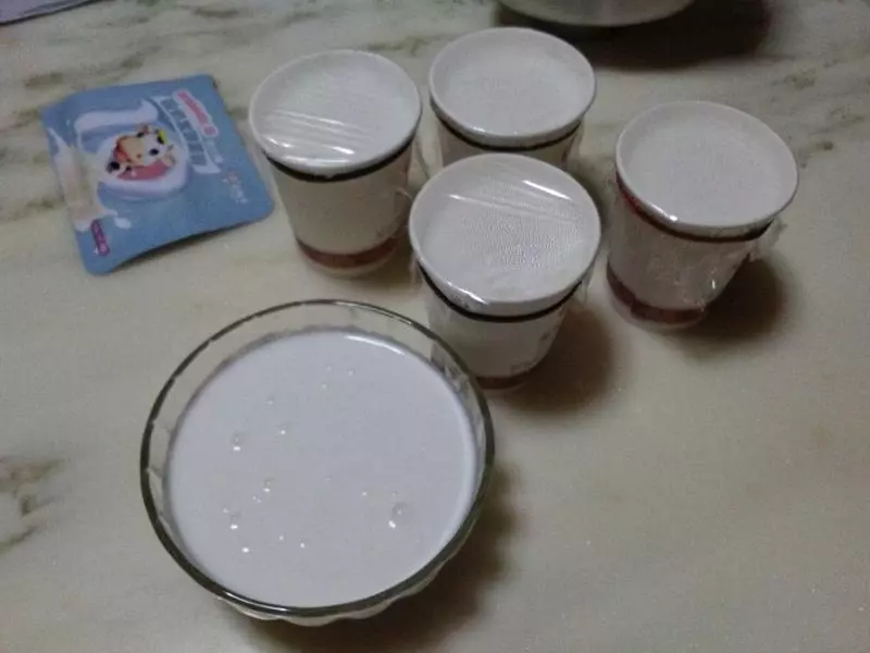 自製酸奶……東菱麵包機版