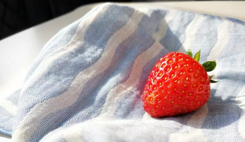 糖水草莓罐頭