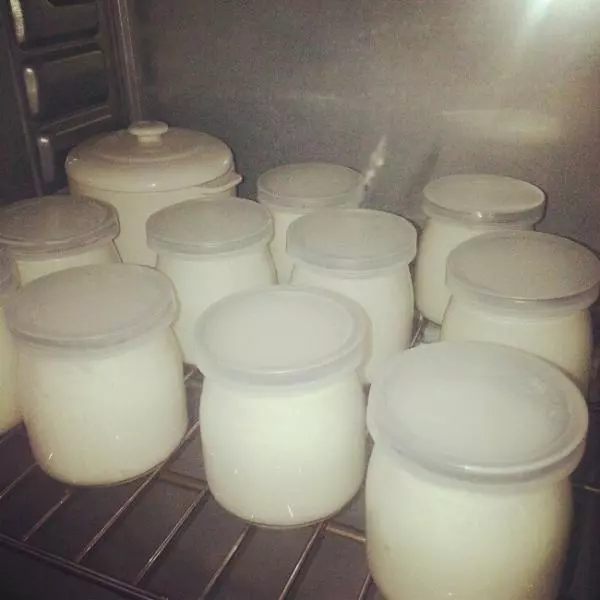 烤箱自製濃稠酸奶