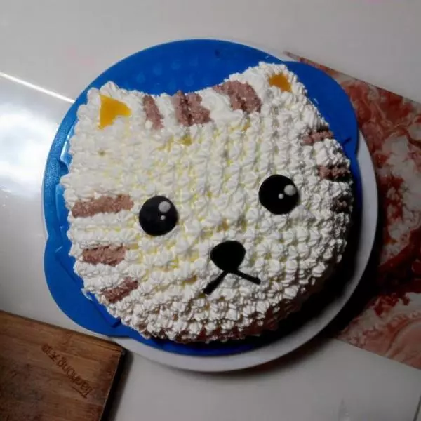 貓咪生日蛋糕