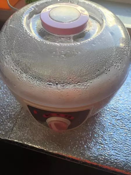 酸奶機版自製酸奶