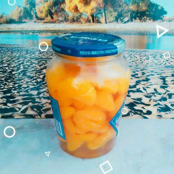 簡單快手的橘子罐頭