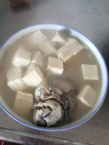 鯽魚豆腐湯（升華版）
