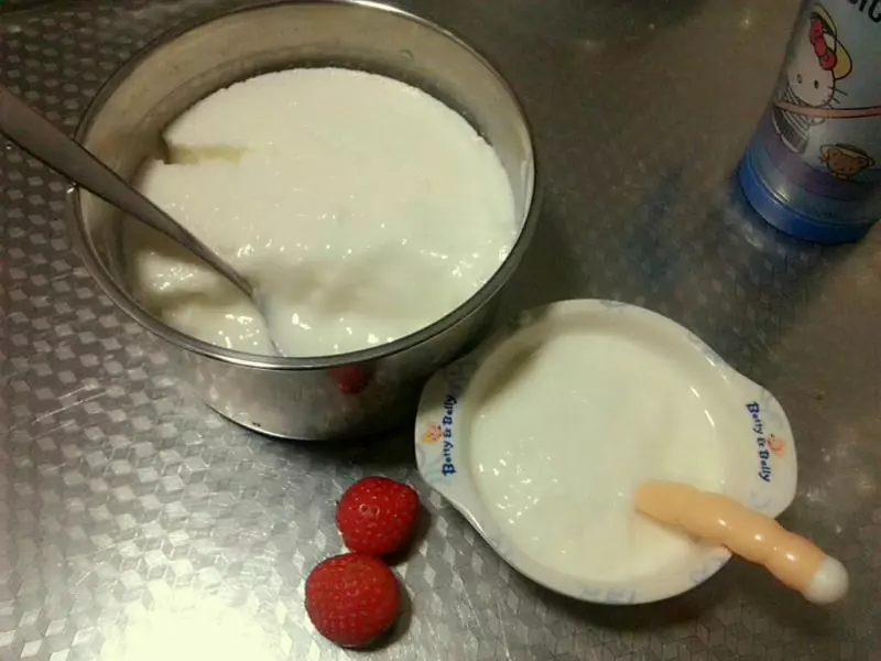 自製老酸奶