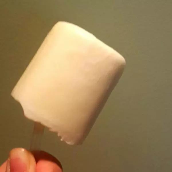 超簡單懶人酸奶冰棍