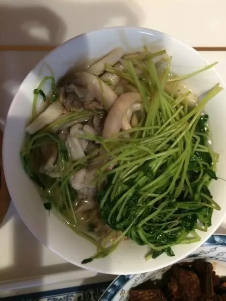 豆苗蘑菇湯