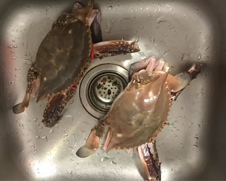 蒸螃蟹