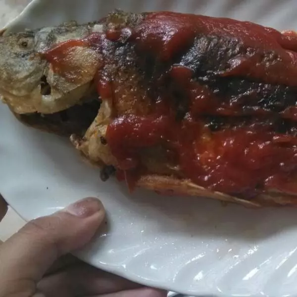 番茄魚