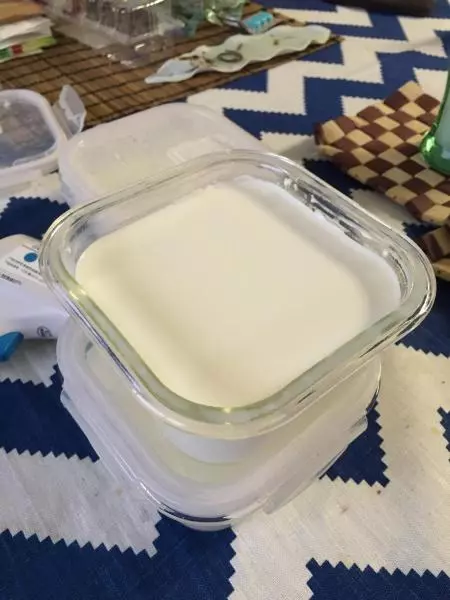 電高壓鍋自製酸奶