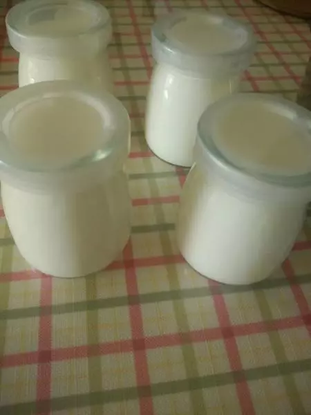 自製酸奶的做法