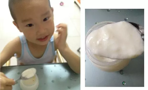 【藍一凡 】酸奶機簡易版自製酸奶 一家三口的早餐