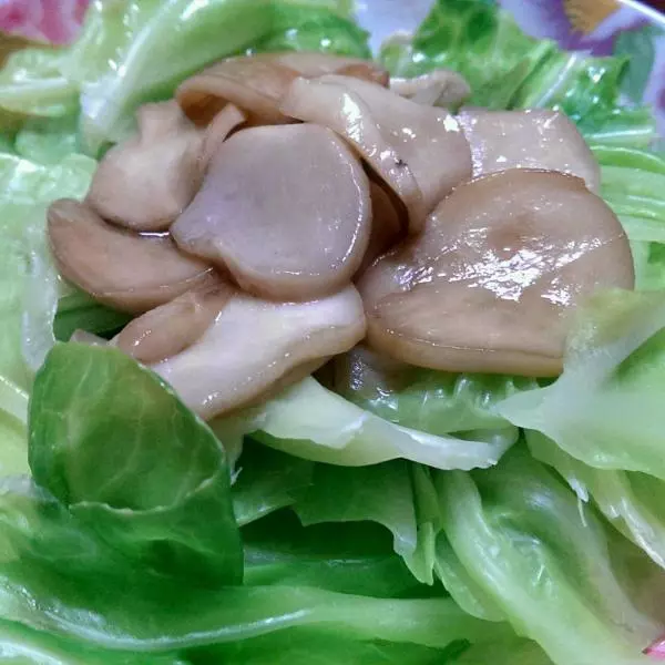 鮑汁杏鮑菇配牛心菜（減肥噠）