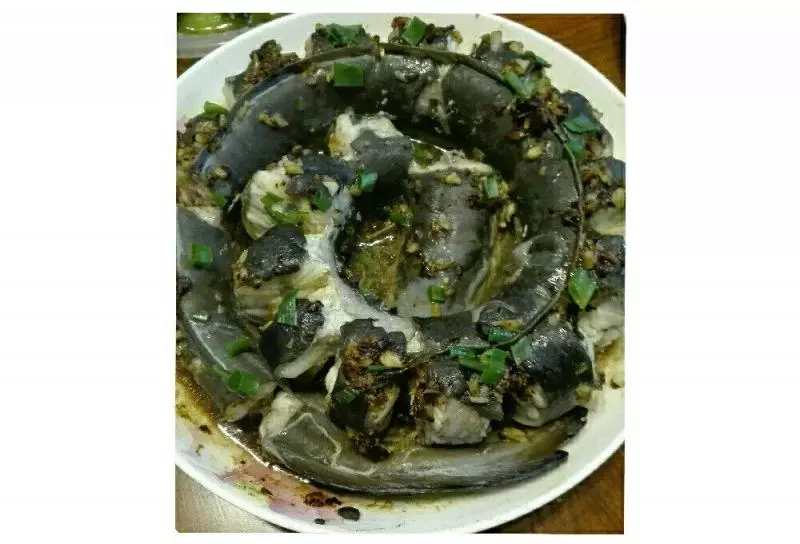 盤龍鱔魚（盤龍鰻魚）