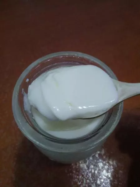 奶粉自製酸奶