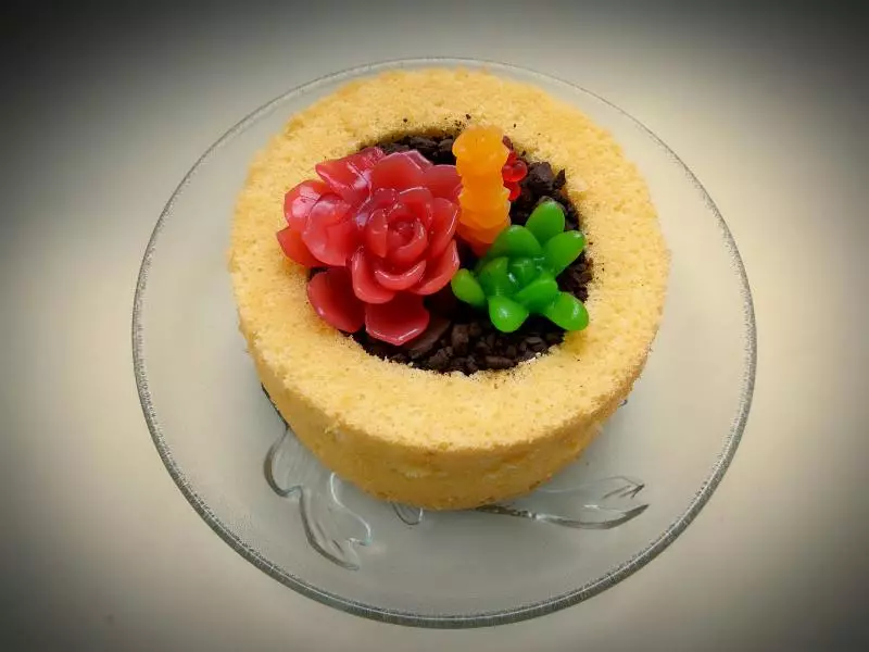 超簡單的盆栽裸蛋糕