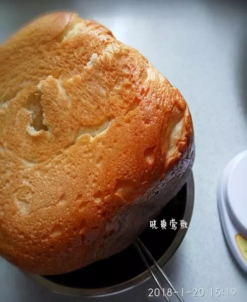 曉爽鶯歌~東菱麵包機鬆軟原味麵包