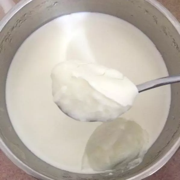 自製酸奶，類似老酸奶