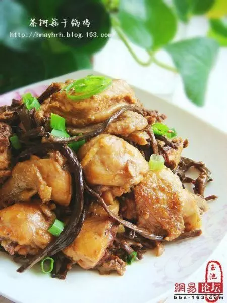 茶樹菇干鍋雞