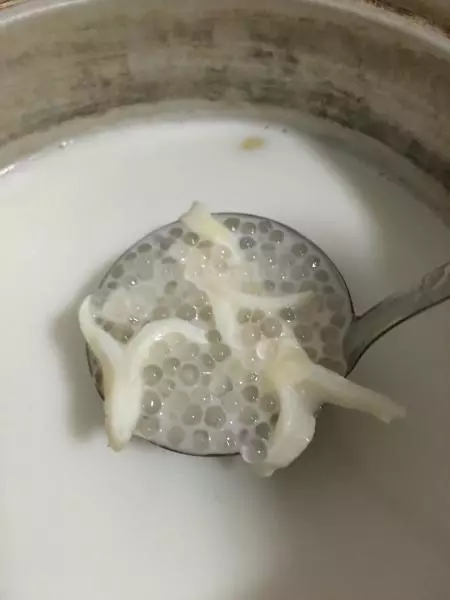 椰汁西米花膠凍