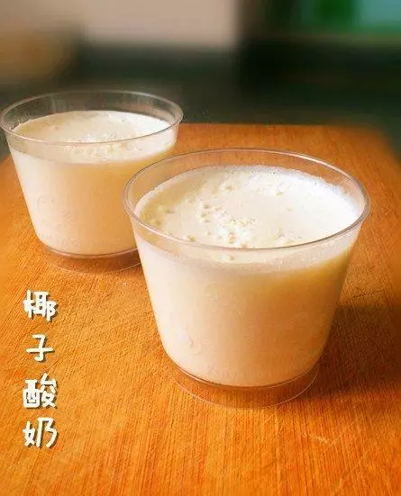 自製酸奶——椰子酸奶