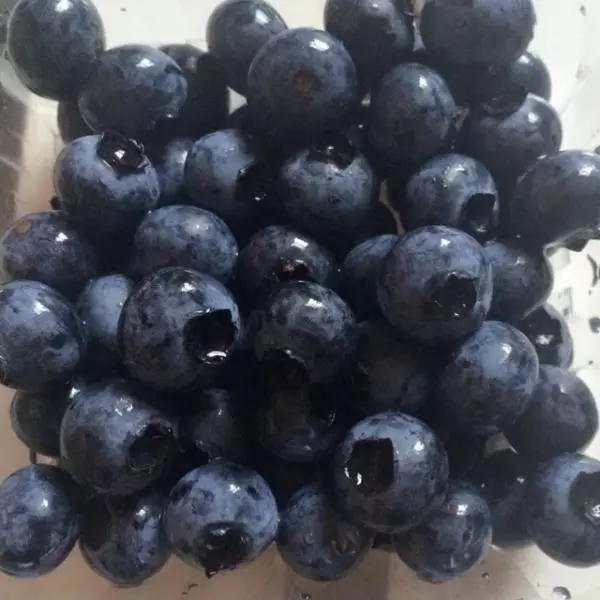 自家種的藍莓