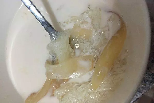 花膠鮮奶燉燕窩湯