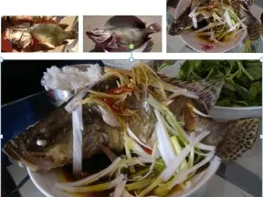 蔥油桂魚