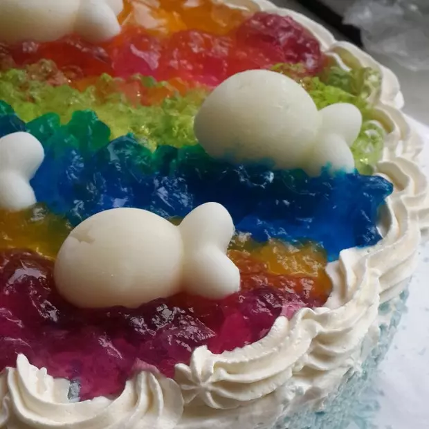 做给张晨辉的彩虹果冻蛋糕
