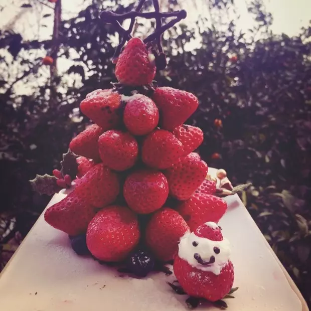 草莓圣诞树。ヾ(*´∀｀*)ﾉ