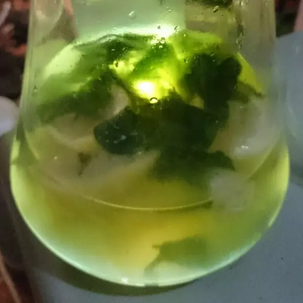 mojito