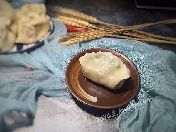 韭菜肉饺子的做法
