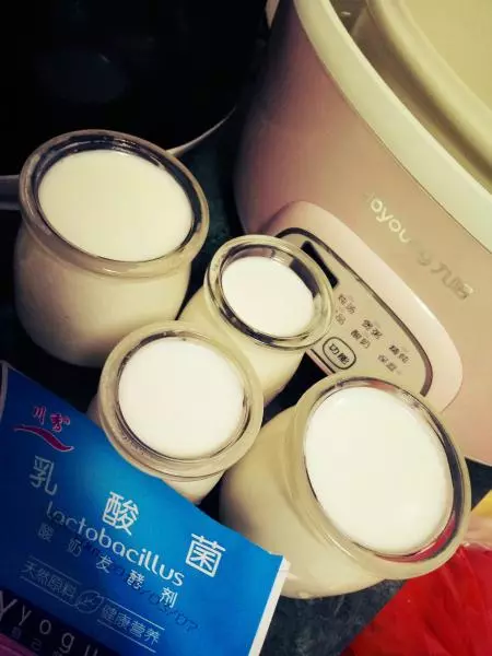 用电炖锅就能做出好酸奶