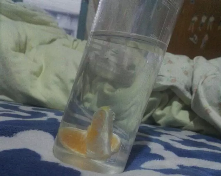 自制橘子苏打水