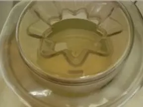 绿茶冻酸奶