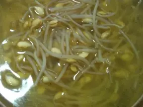 極簡主義-雞汁豆芽湯