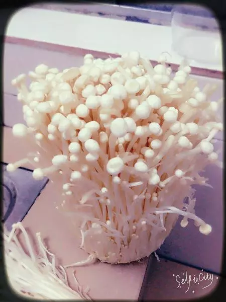 锡纸金针菇