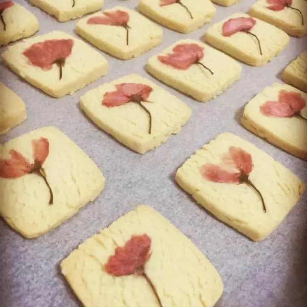 樱花小饼干