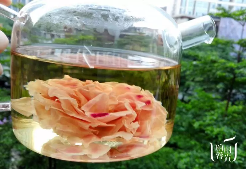美容养颜花茶——墨红玫瑰冲泡方法